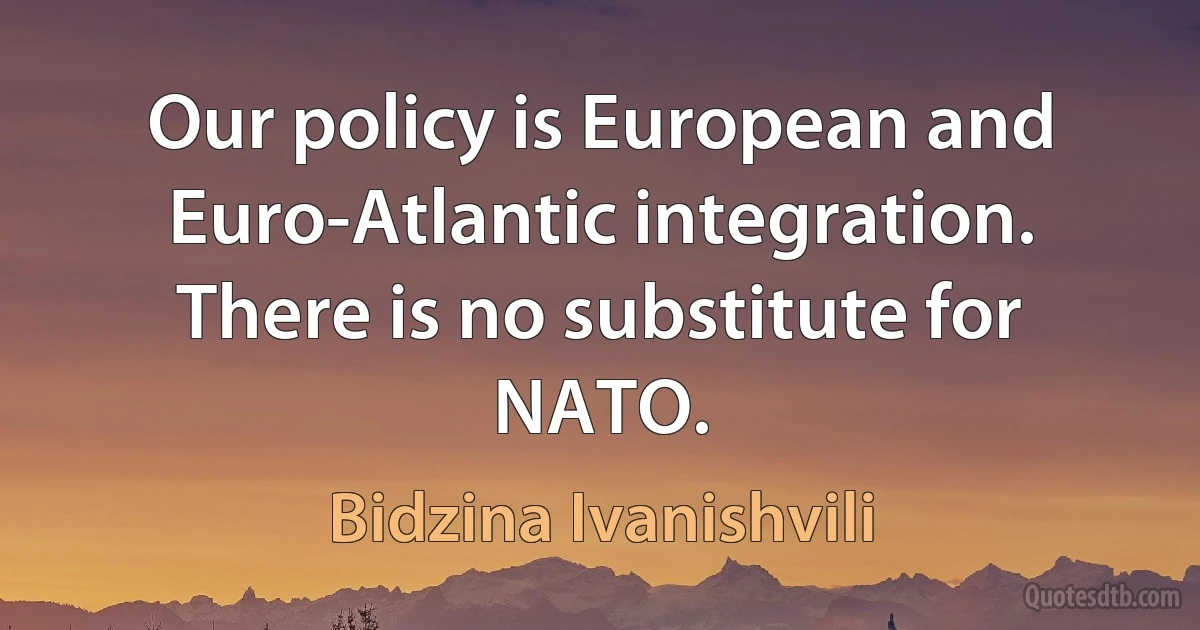 Our policy is European and Euro-Atlantic integration. There is no substitute for NATO. (Bidzina Ivanishvili)