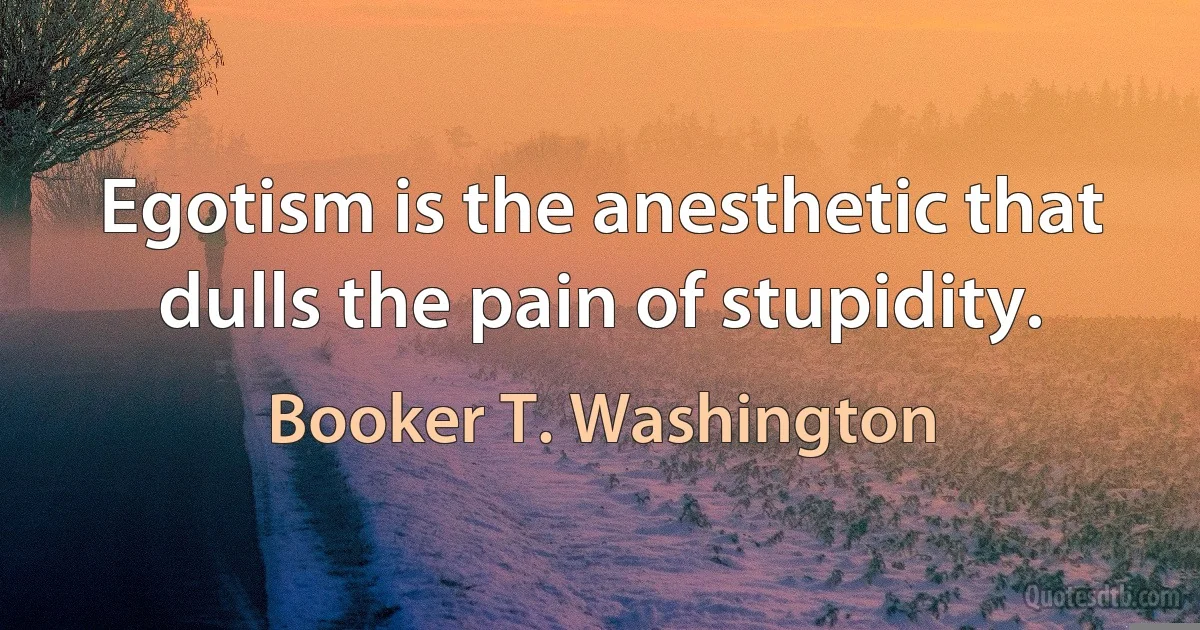 Egotism is the anesthetic that dulls the pain of stupidity. (Booker T. Washington)