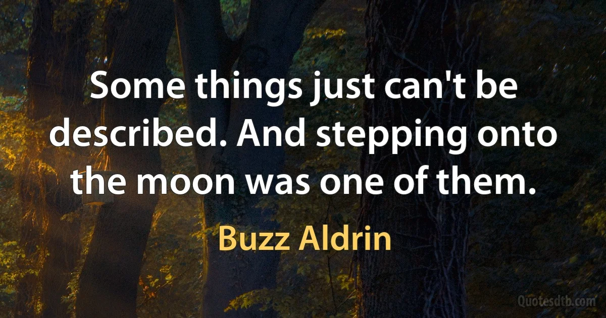 Some things just can't be described. And stepping onto the moon was one of them. (Buzz Aldrin)