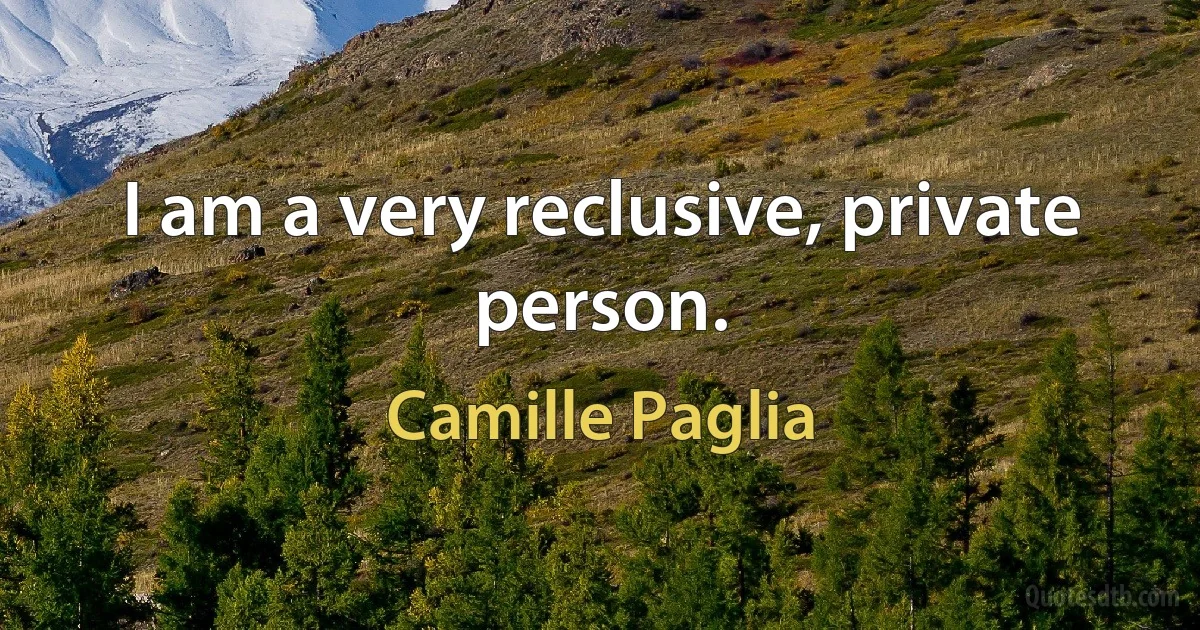 I am a very reclusive, private person. (Camille Paglia)