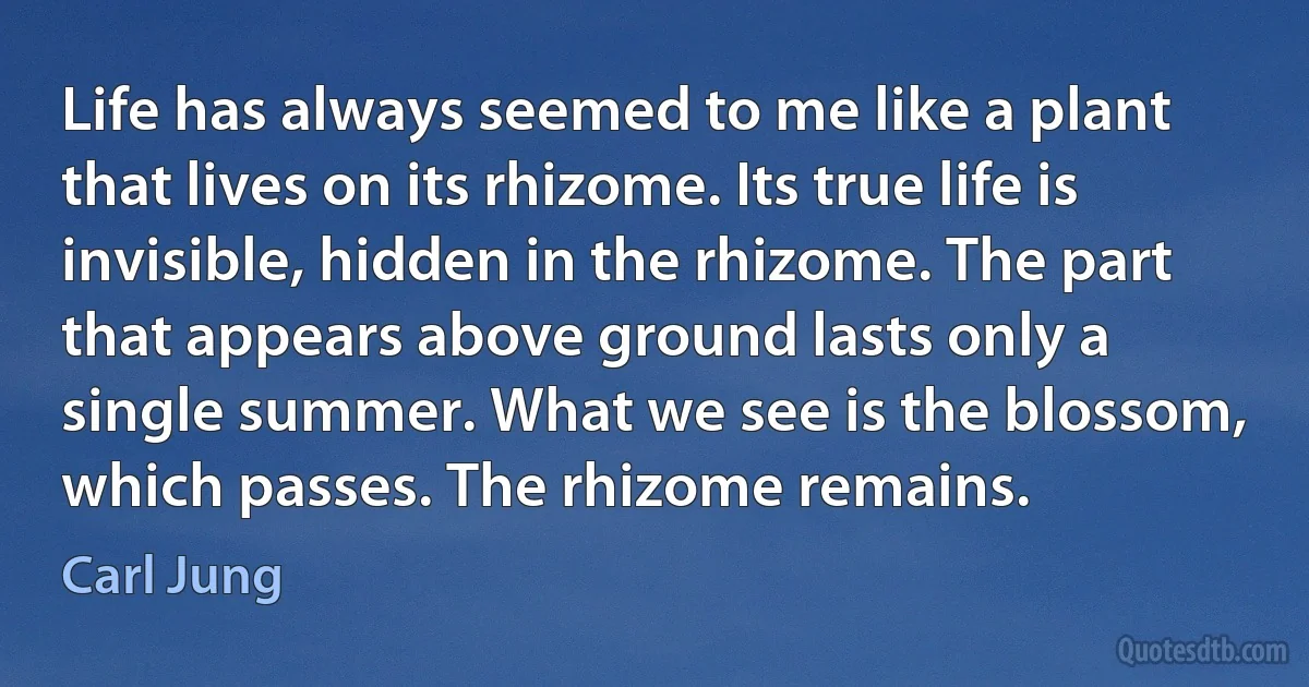 Life has always seemed to me like a plant that lives on its rhizome. Its true life is invisible, hidden in the rhizome. The part that appears above ground lasts only a single summer. What we see is the blossom, which passes. The rhizome remains. (Carl Jung)