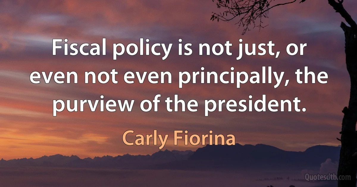 Fiscal policy is not just, or even not even principally, the purview of the president. (Carly Fiorina)