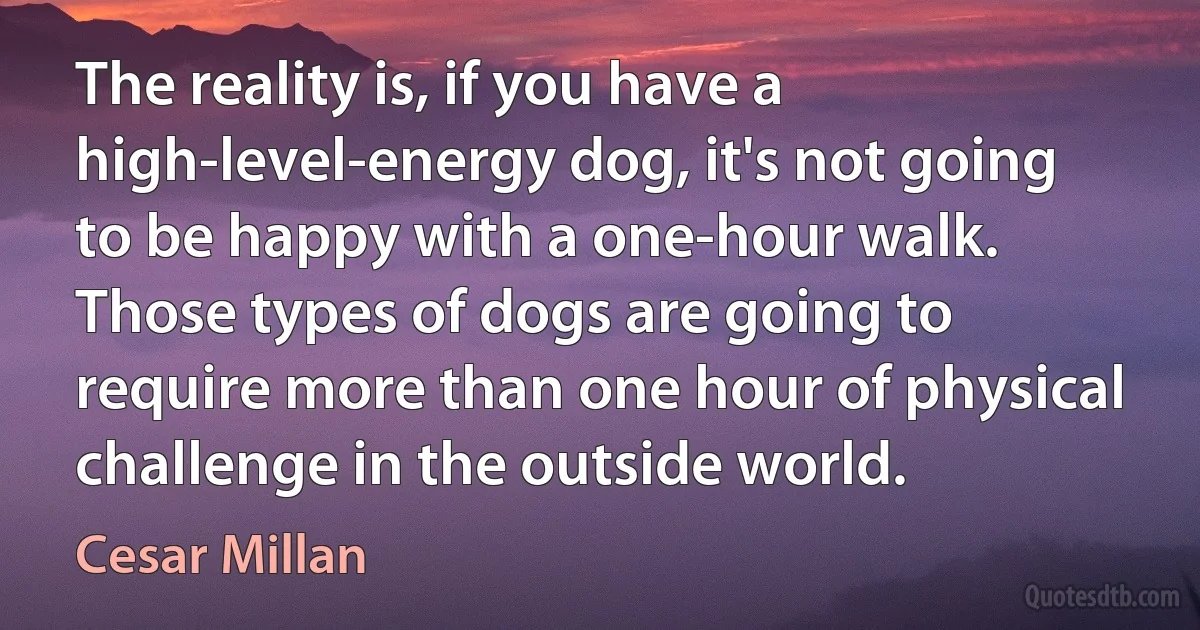 The reality is, if you have a high-level-energy dog, it's not going to be happy with a one-hour walk. Those types of dogs are going to require more than one hour of physical challenge in the outside world. (Cesar Millan)