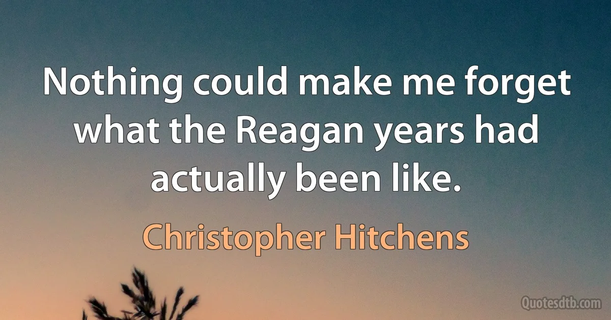 Nothing could make me forget what the Reagan years had actually been like. (Christopher Hitchens)