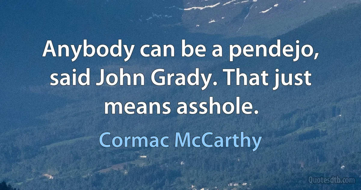 Anybody can be a pendejo, said John Grady. That just means asshole. (Cormac McCarthy)