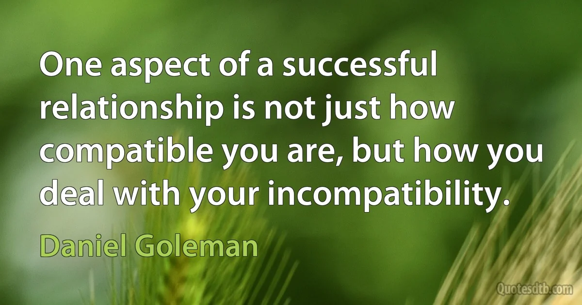 One aspect of a successful relationship is not just how compatible you are, but how you deal with your incompatibility. (Daniel Goleman)