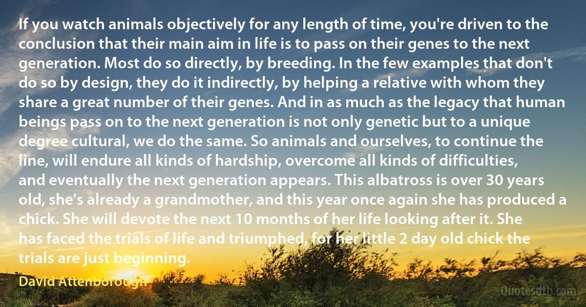 If you watch animals objectively for any length of time, you're driven to the conclusion that their main aim in life is to pass on their genes to the next generation. Most do so directly, by breeding. In the few examples that don't do so by design, they do it indirectly, by helping a relative with whom they share a great number of their genes. And in as much as the legacy that human beings pass on to the next generation is not only genetic but to a unique degree cultural, we do the same. So animals and ourselves, to continue the line, will endure all kinds of hardship, overcome all kinds of difficulties, and eventually the next generation appears. This albatross is over 30 years old, she's already a grandmother, and this year once again she has produced a chick. She will devote the next 10 months of her life looking after it. She has faced the trials of life and triumphed, for her little 2 day old chick the trials are just beginning. (David Attenborough)