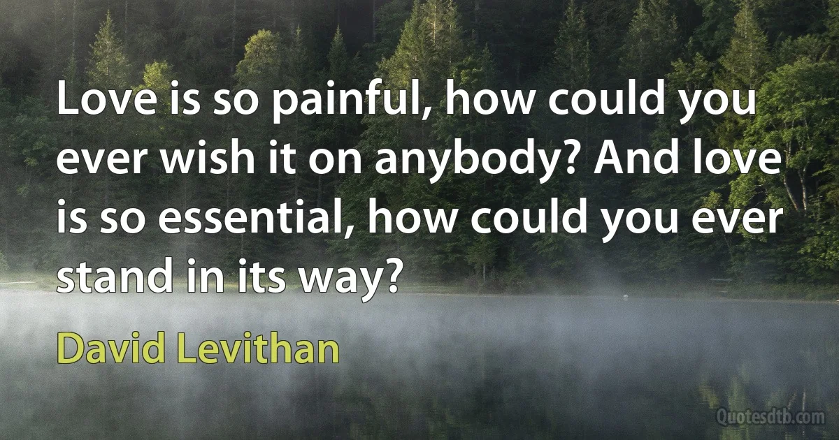 Love is so painful, how could you ever wish it on anybody? And love is so essential, how could you ever stand in its way? (David Levithan)