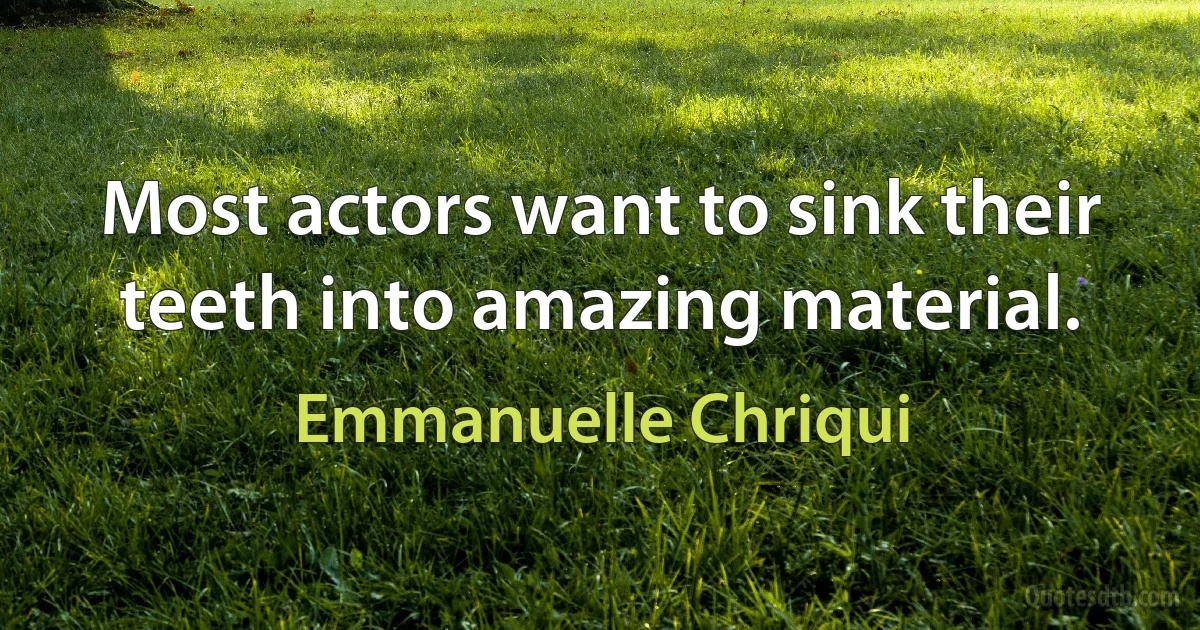 Most actors want to sink their teeth into amazing material. (Emmanuelle Chriqui)