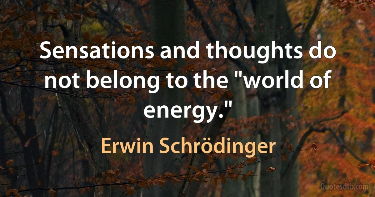 Sensations and thoughts do not belong to the "world of energy." (Erwin Schrödinger)