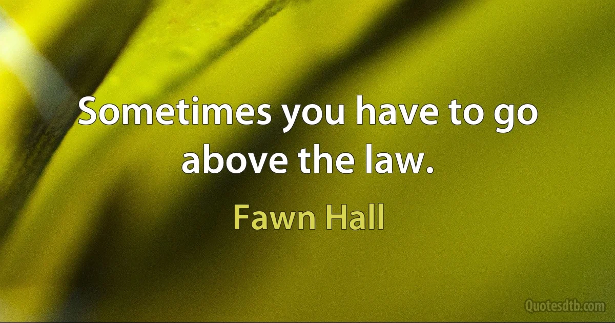 Sometimes you have to go above the law. (Fawn Hall)