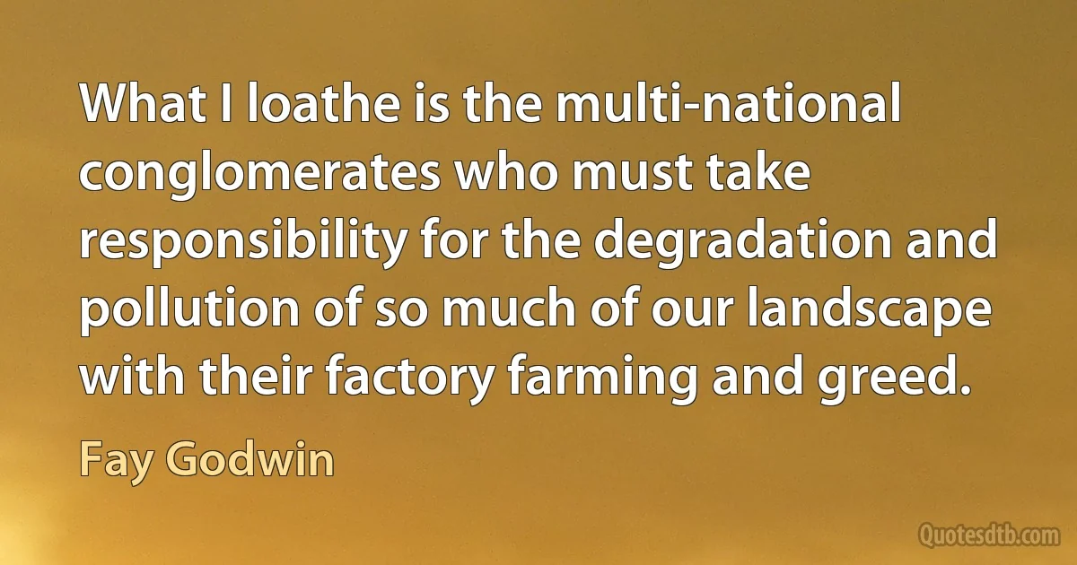 What I loathe is the multi-national conglomerates who must take responsibility for the degradation and pollution of so much of our landscape with their factory farming and greed. (Fay Godwin)