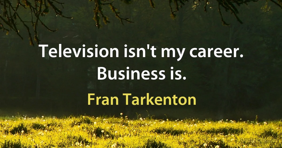 Television isn't my career. Business is. (Fran Tarkenton)