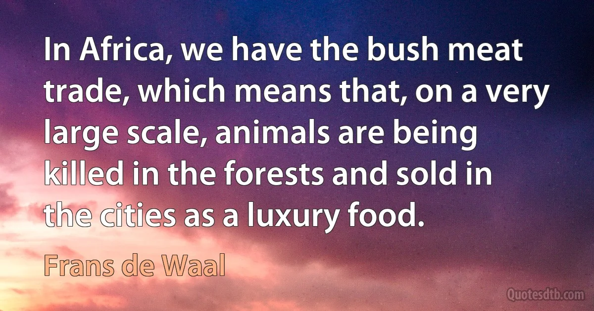 In Africa, we have the bush meat trade, which means that, on a very large scale, animals are being killed in the forests and sold in the cities as a luxury food. (Frans de Waal)