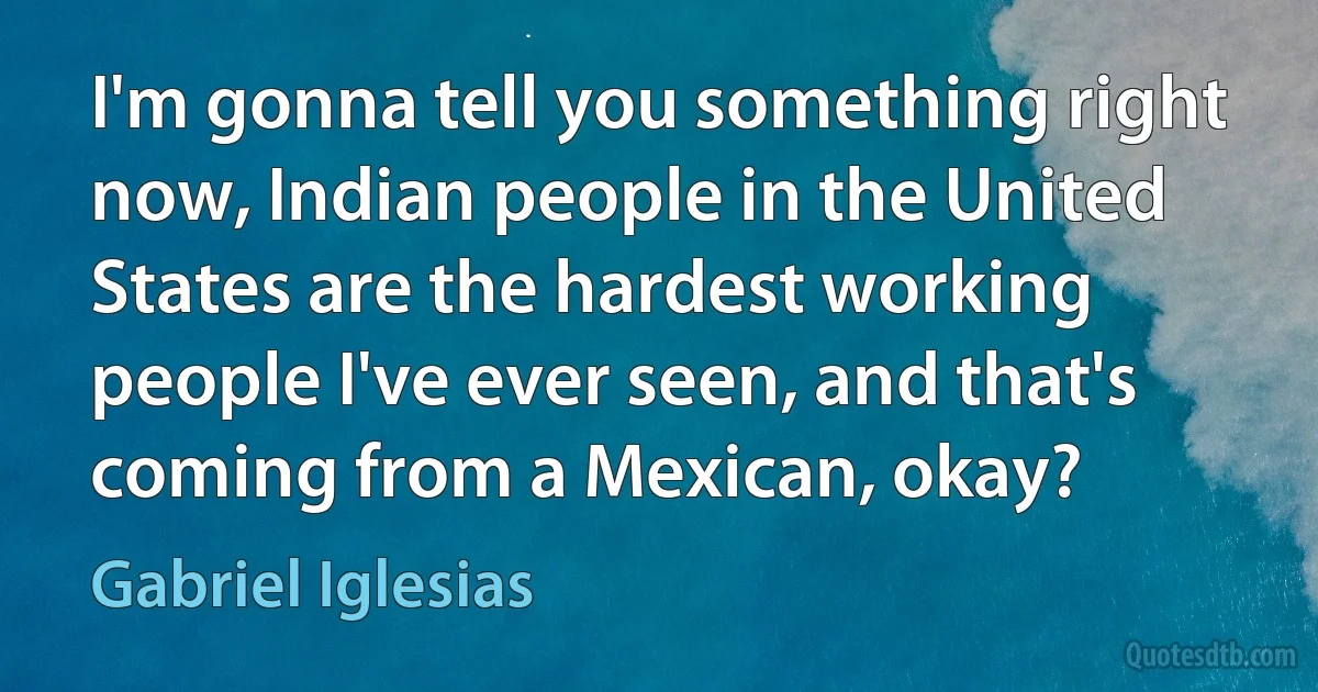 I'm gonna tell you something right now, Indian people in the United States are the hardest working people I've ever seen, and that's coming from a Mexican, okay? (Gabriel Iglesias)