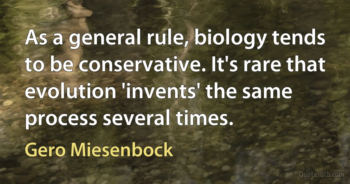 As a general rule, biology tends to be conservative. It's rare that evolution 'invents' the same process several times. (Gero Miesenbock)