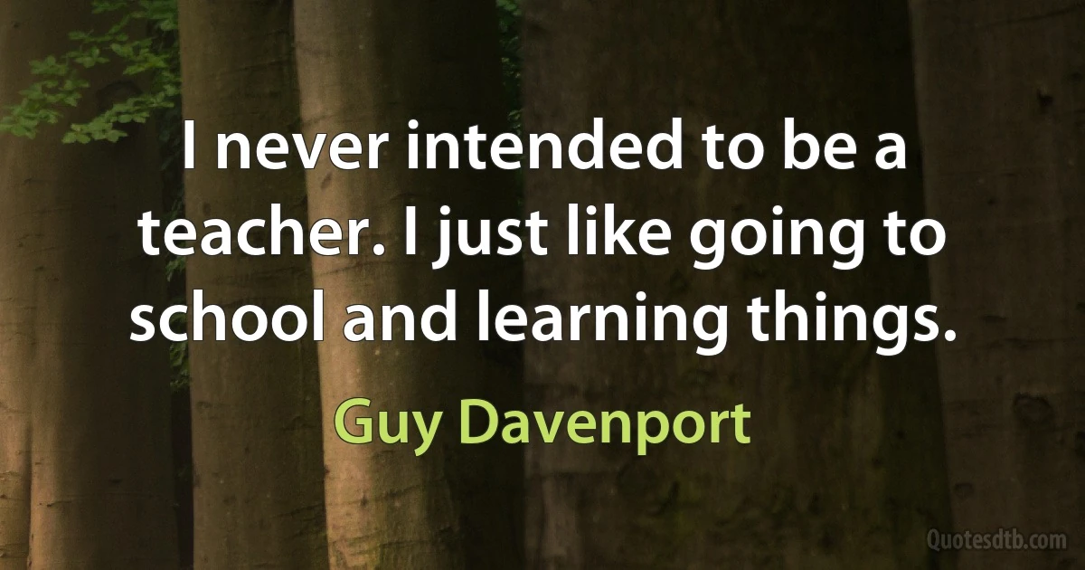 I never intended to be a teacher. I just like going to school and learning things. (Guy Davenport)