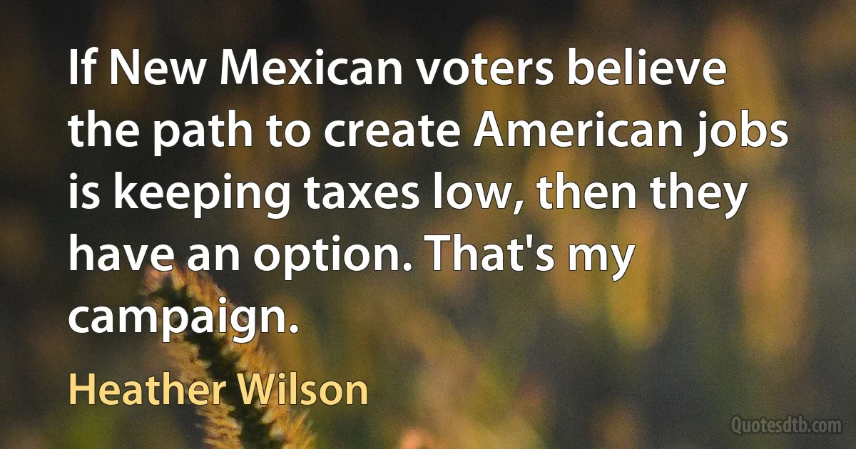 If New Mexican voters believe the path to create American jobs is keeping taxes low, then they have an option. That's my campaign. (Heather Wilson)