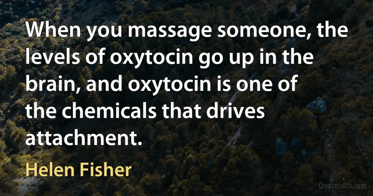 When you massage someone, the levels of oxytocin go up in the brain, and oxytocin is one of the chemicals that drives attachment. (Helen Fisher)