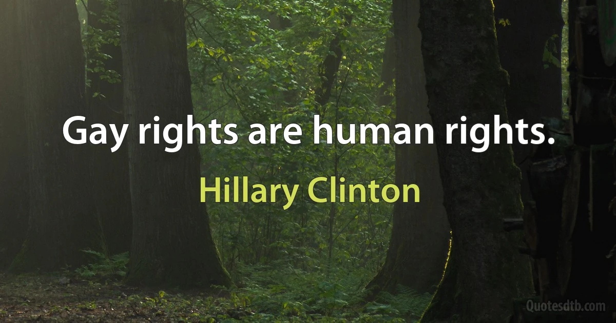 Gay rights are human rights. (Hillary Clinton)