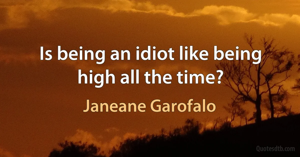 Is being an idiot like being high all the time? (Janeane Garofalo)