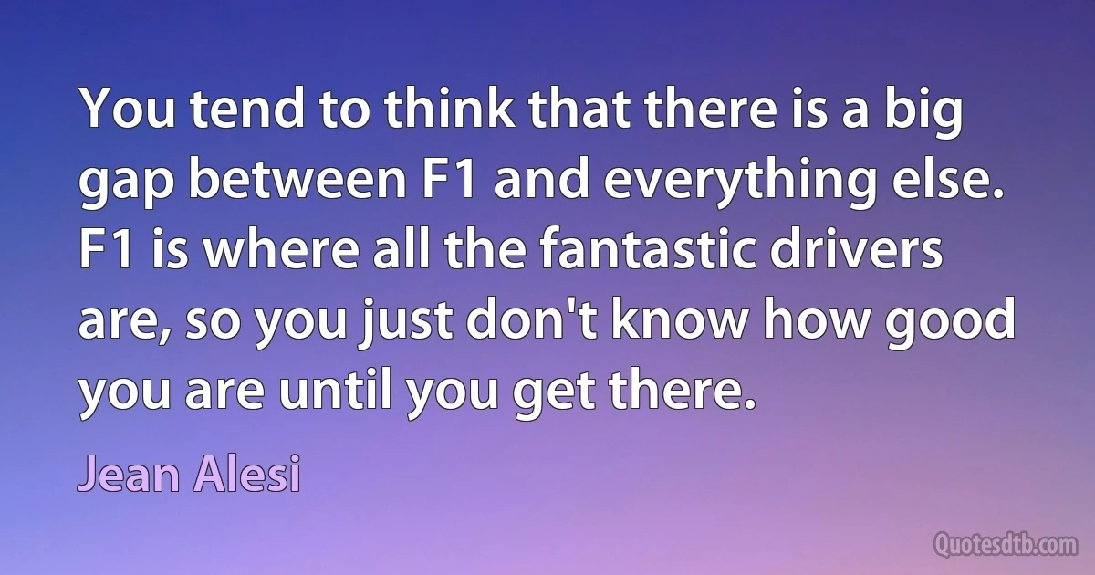 You tend to think that there is a big gap between F1 and everything else. F1 is where all the fantastic drivers are, so you just don't know how good you are until you get there. (Jean Alesi)