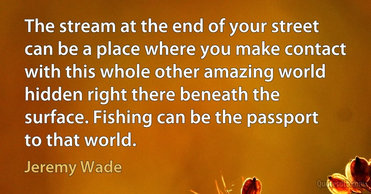 The stream at the end of your street can be a place where you make contact with this whole other amazing world hidden right there beneath the surface. Fishing can be the passport to that world. (Jeremy Wade)