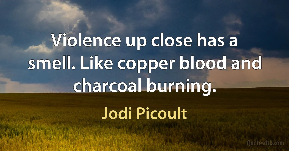 Violence up close has a smell. Like copper blood and charcoal burning. (Jodi Picoult)