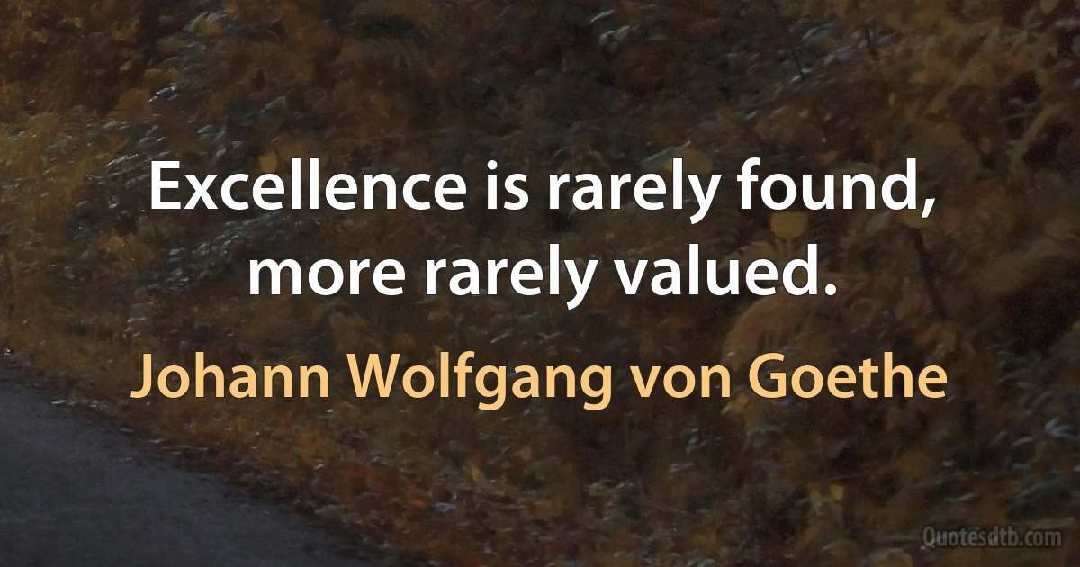 Excellence is rarely found, more rarely valued. (Johann Wolfgang von Goethe)