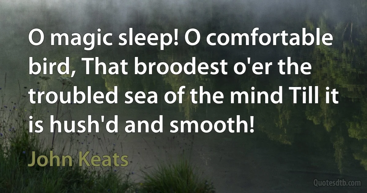 O magic sleep! O comfortable bird, That broodest o'er the troubled sea of the mind Till it is hush'd and smooth! (John Keats)