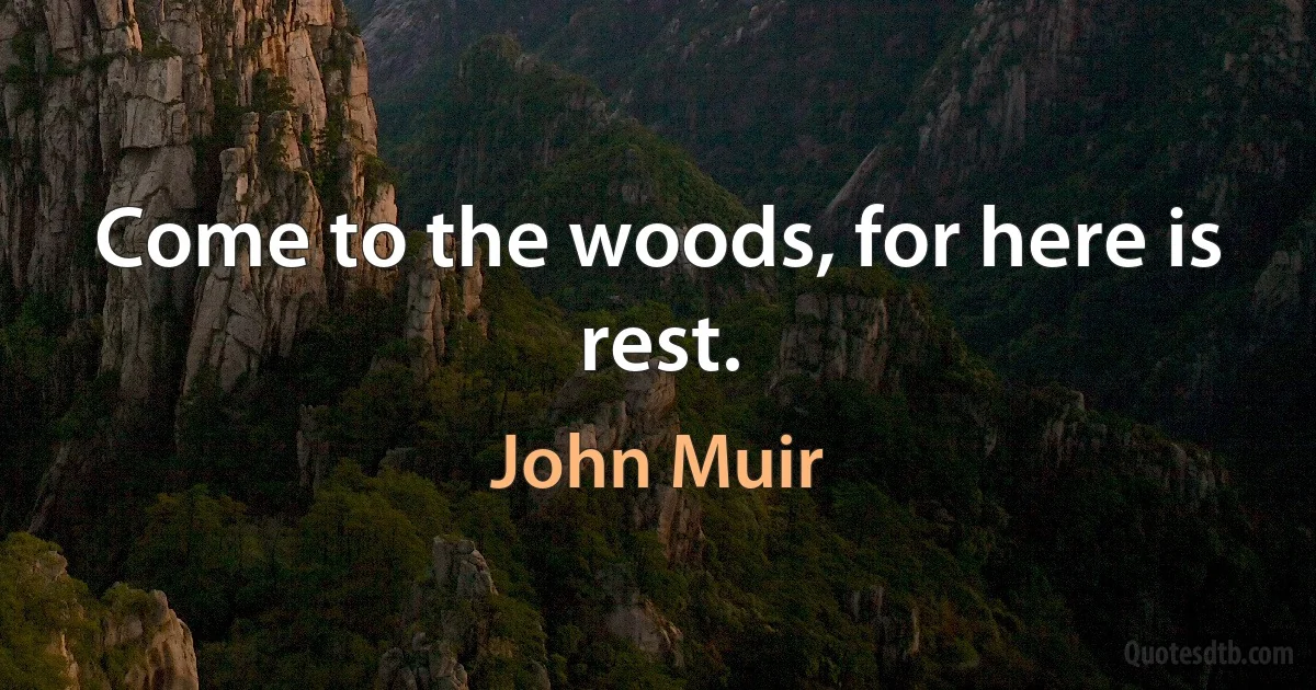 Come to the woods, for here is rest. (John Muir)