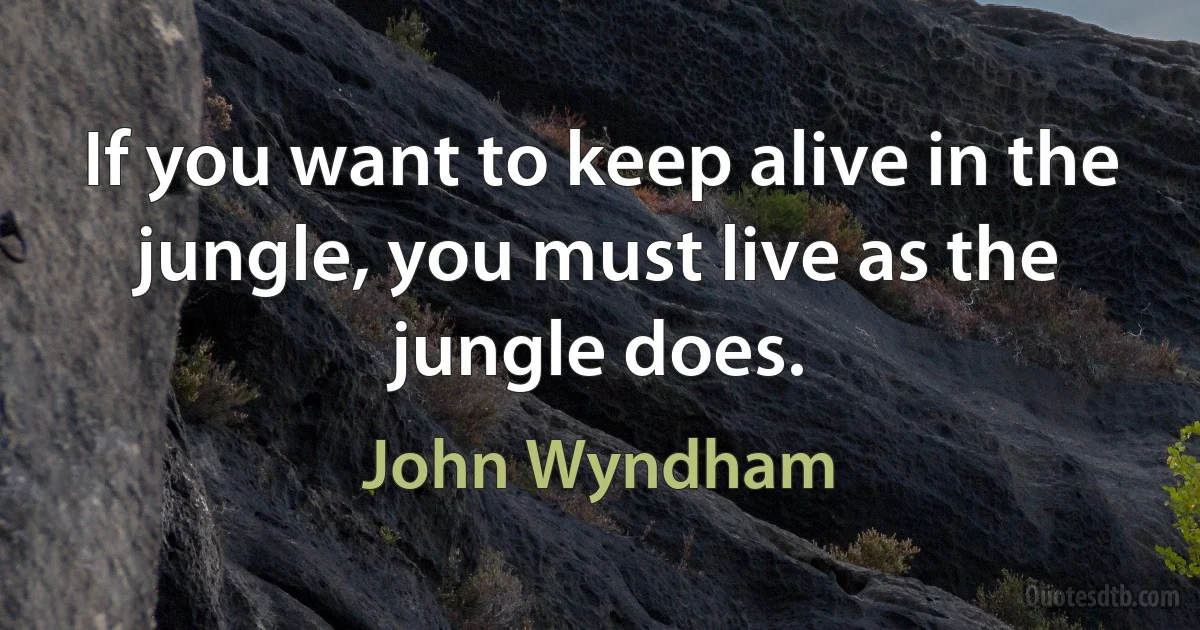 If you want to keep alive in the jungle, you must live as the jungle does. (John Wyndham)