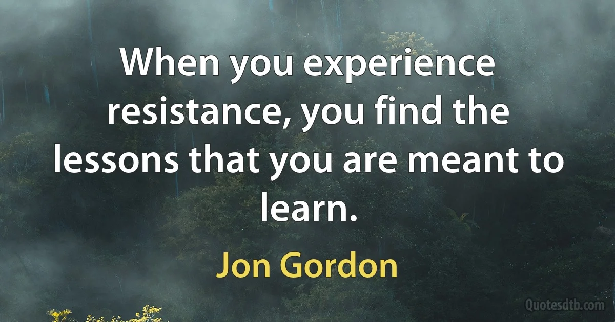 When you experience resistance, you find the lessons that you are meant to learn. (Jon Gordon)