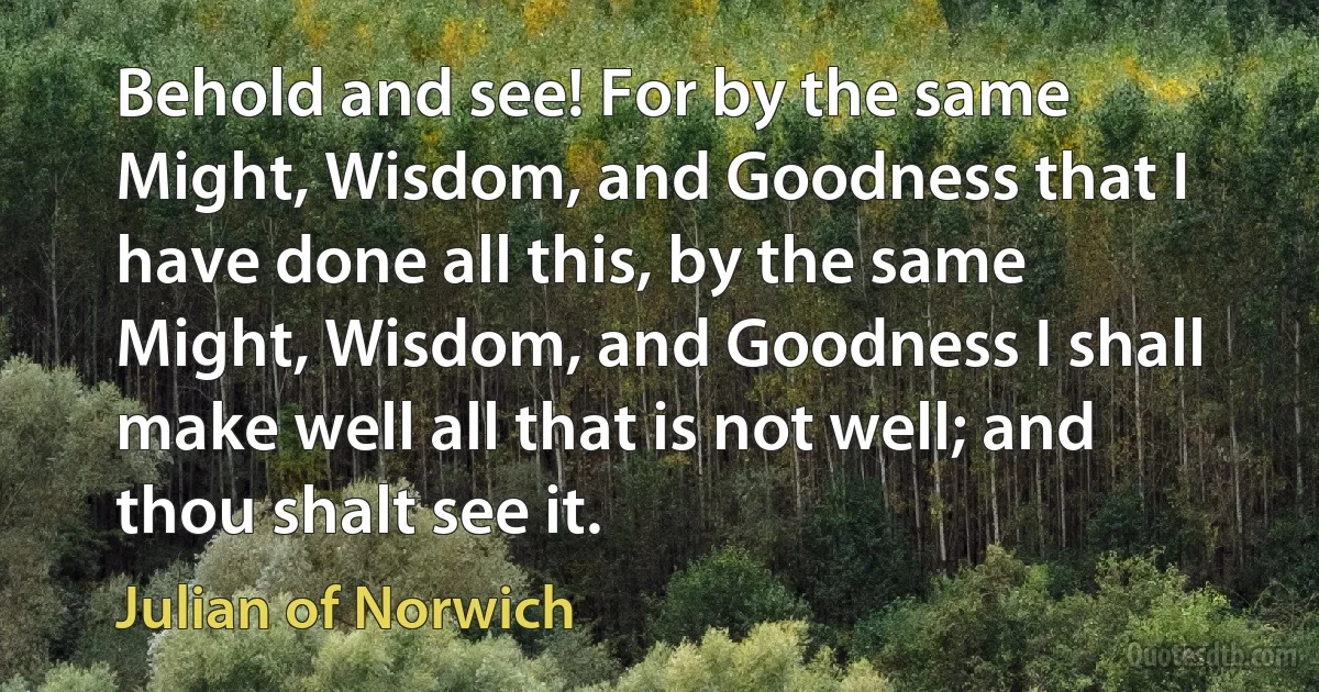 Behold and see! For by the same Might, Wisdom, and Goodness that I have done all this, by the same Might, Wisdom, and Goodness I shall make well all that is not well; and thou shalt see it. (Julian of Norwich)