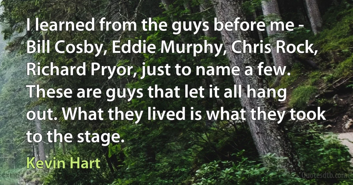 I learned from the guys before me - Bill Cosby, Eddie Murphy, Chris Rock, Richard Pryor, just to name a few. These are guys that let it all hang out. What they lived is what they took to the stage. (Kevin Hart)