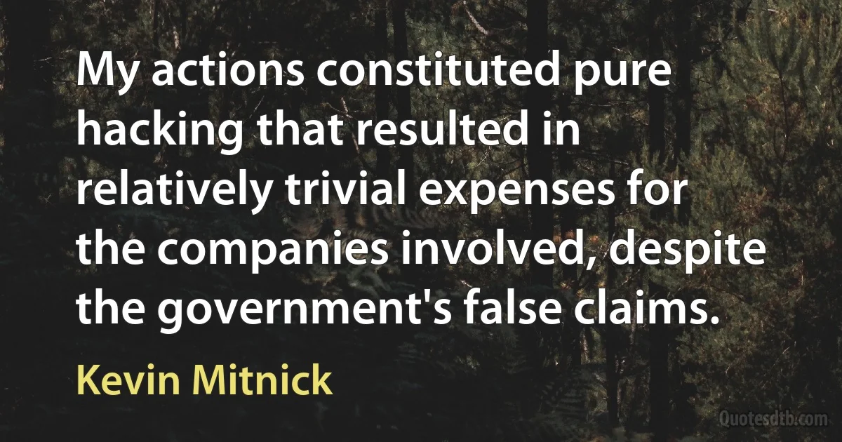 My actions constituted pure hacking that resulted in relatively trivial expenses for the companies involved, despite the government's false claims. (Kevin Mitnick)