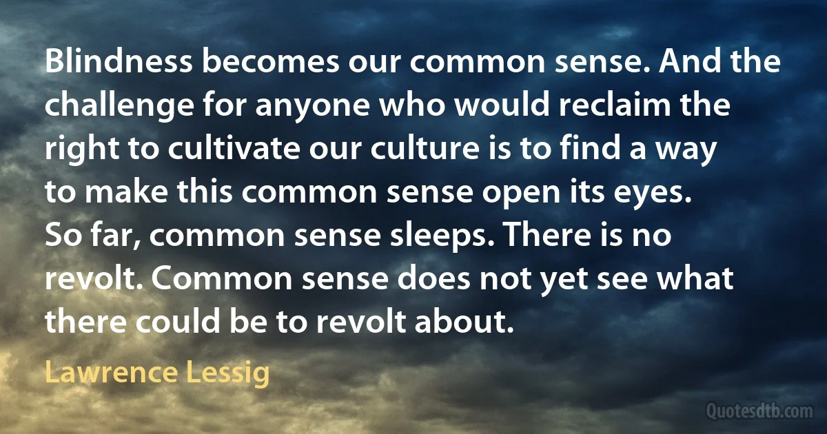 Blindness becomes our common sense. And the challenge for anyone who would reclaim the right to cultivate our culture is to find a way to make this common sense open its eyes.
So far, common sense sleeps. There is no revolt. Common sense does not yet see what there could be to revolt about. (Lawrence Lessig)