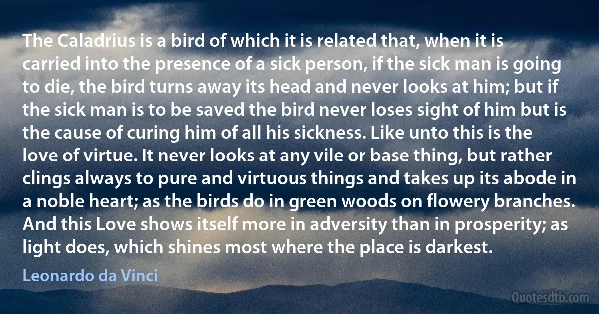 The Caladrius is a bird of which it is related that, when it is carried into the presence of a sick person, if the sick man is going to die, the bird turns away its head and never looks at him; but if the sick man is to be saved the bird never loses sight of him but is the cause of curing him of all his sickness. Like unto this is the love of virtue. It never looks at any vile or base thing, but rather clings always to pure and virtuous things and takes up its abode in a noble heart; as the birds do in green woods on flowery branches. And this Love shows itself more in adversity than in prosperity; as light does, which shines most where the place is darkest. (Leonardo da Vinci)