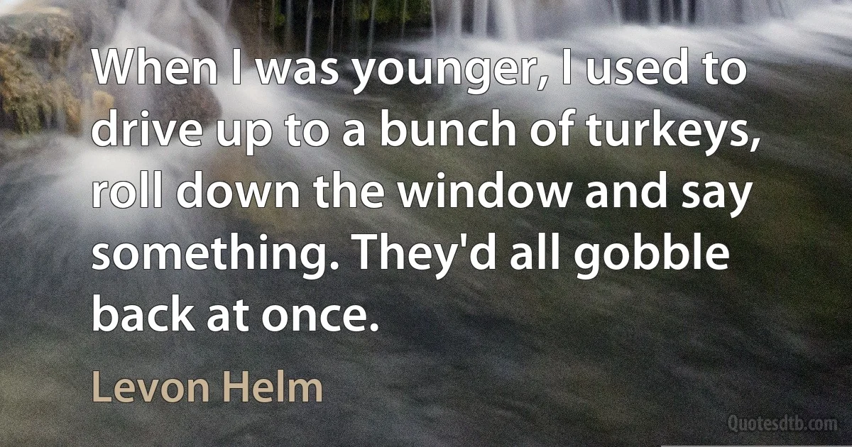 When I was younger, I used to drive up to a bunch of turkeys, roll down the window and say something. They'd all gobble back at once. (Levon Helm)