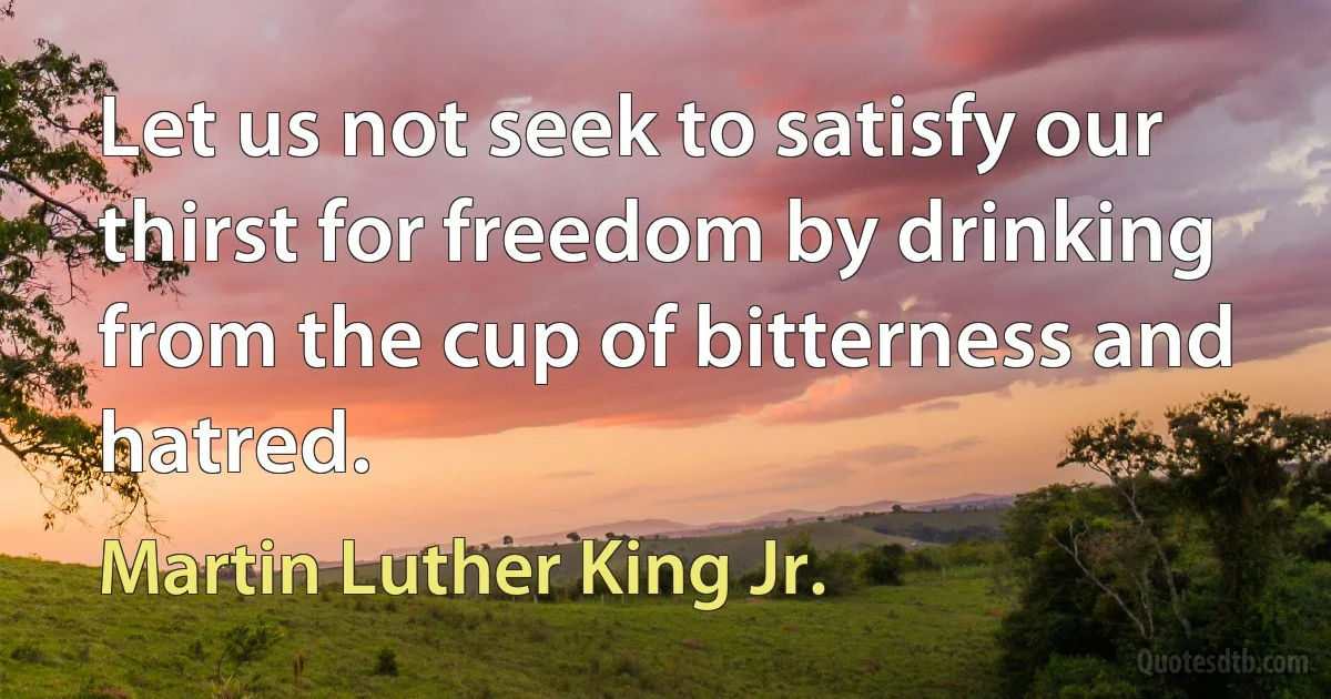 Let us not seek to satisfy our thirst for freedom by drinking from the cup of bitterness and hatred. (Martin Luther King Jr.)