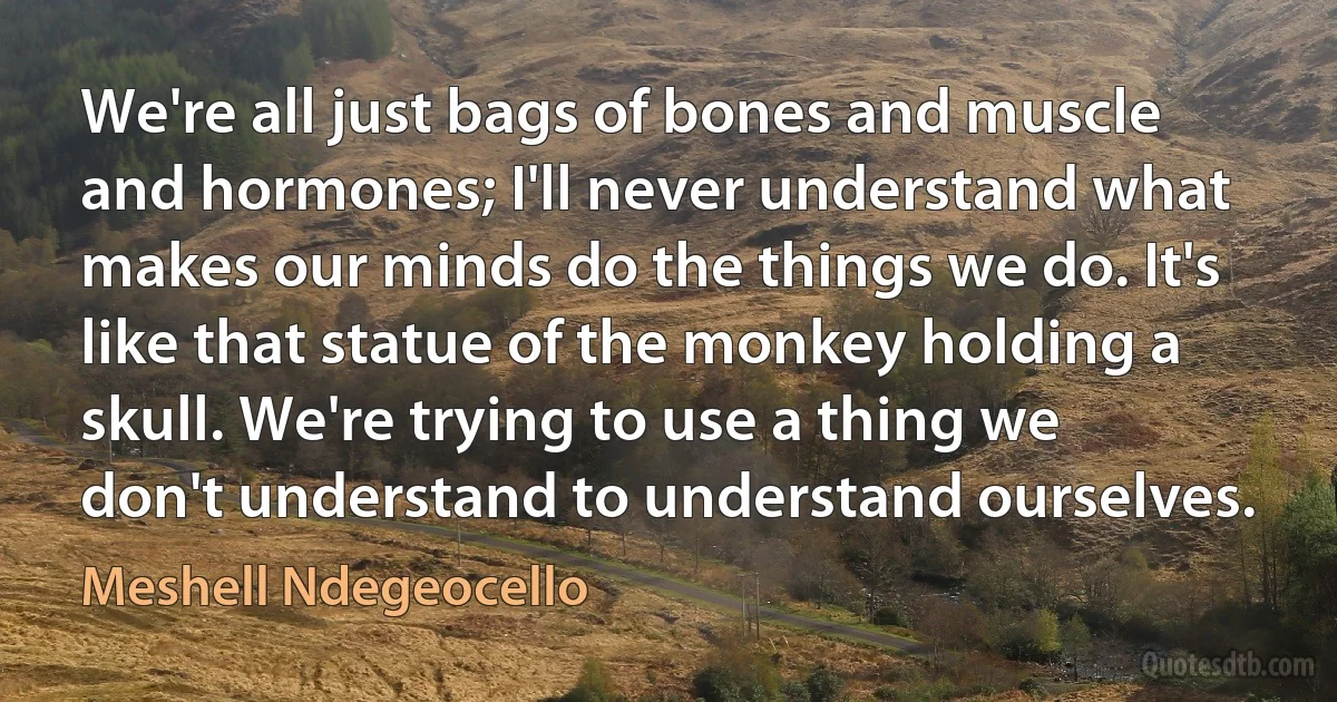 We're all just bags of bones and muscle and hormones; I'll never understand what makes our minds do the things we do. It's like that statue of the monkey holding a skull. We're trying to use a thing we don't understand to understand ourselves. (Meshell Ndegeocello)