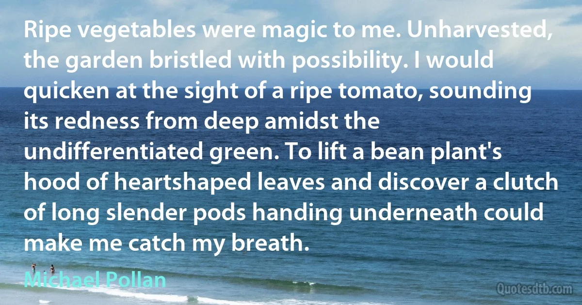 Ripe vegetables were magic to me. Unharvested, the garden bristled with possibility. I would quicken at the sight of a ripe tomato, sounding its redness from deep amidst the undifferentiated green. To lift a bean plant's hood of heartshaped leaves and discover a clutch of long slender pods handing underneath could make me catch my breath. (Michael Pollan)