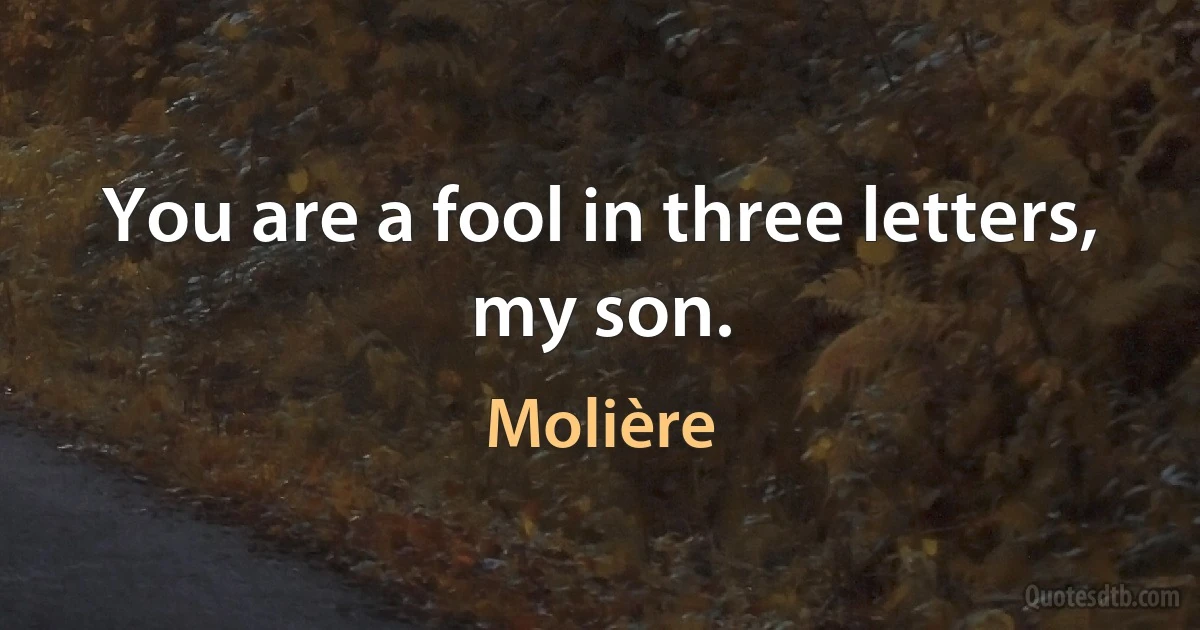 You are a fool in three letters, my son. (Molière)