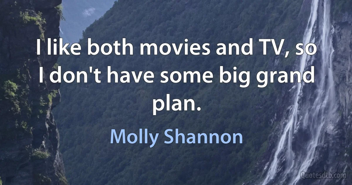 I like both movies and TV, so I don't have some big grand plan. (Molly Shannon)