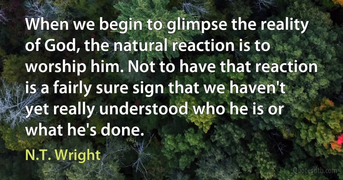 When we begin to glimpse the reality of God, the natural reaction is to worship him. Not to have that reaction is a fairly sure sign that we haven't yet really understood who he is or what he's done. (N.T. Wright)