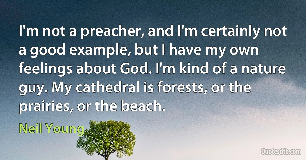 I'm not a preacher, and I'm certainly not a good example, but I have my own feelings about God. I'm kind of a nature guy. My cathedral is forests, or the prairies, or the beach. (Neil Young)