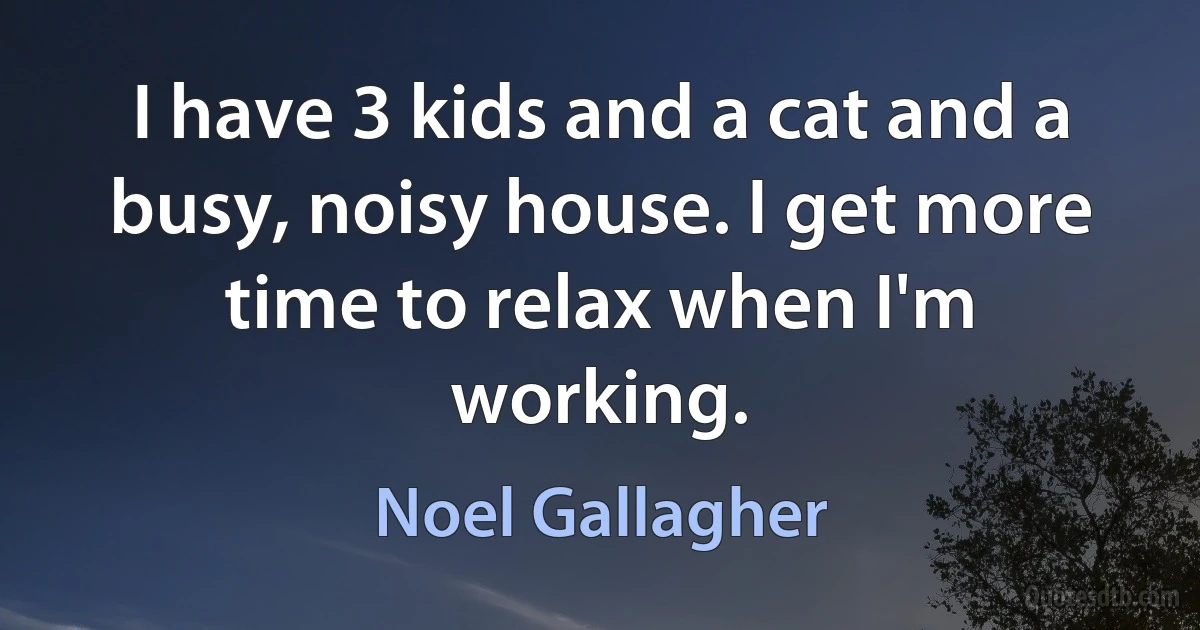 I have 3 kids and a cat and a busy, noisy house. I get more time to relax when I'm working. (Noel Gallagher)