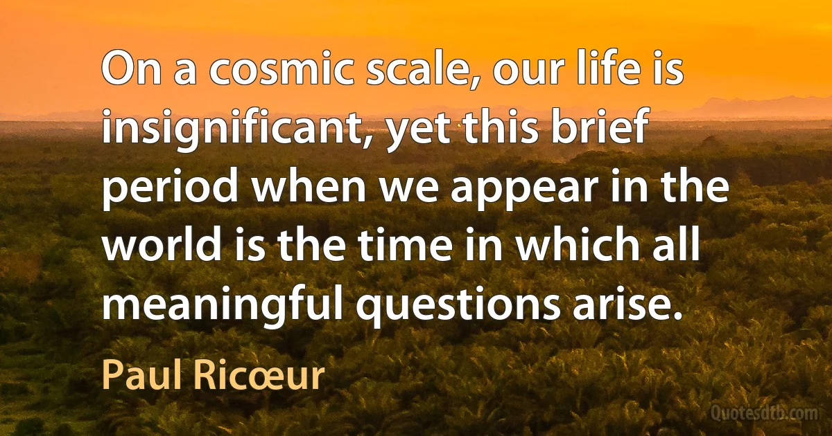 On a cosmic scale, our life is insignificant, yet this brief period when we appear in the world is the time in which all meaningful questions arise. (Paul Ricœur)