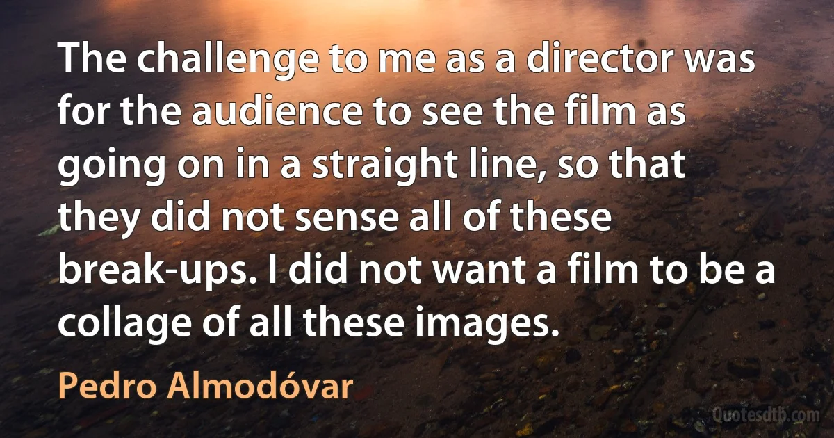 The challenge to me as a director was for the audience to see the film as going on in a straight line, so that they did not sense all of these break-ups. I did not want a film to be a collage of all these images. (Pedro Almodóvar)