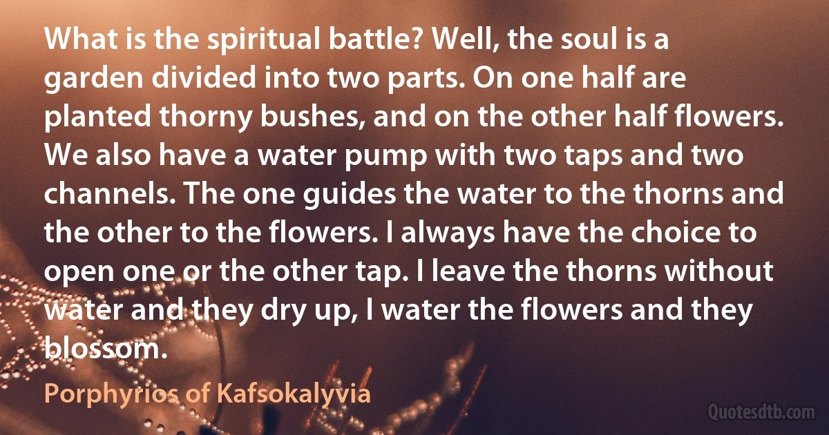 What is the spiritual battle? Well, the soul is a garden divided into two parts. On one half are planted thorny bushes, and on the other half flowers. We also have a water pump with two taps and two channels. The one guides the water to the thorns and the other to the flowers. I always have the choice to open one or the other tap. I leave the thorns without water and they dry up, I water the flowers and they blossom. (Porphyrios of Kafsokalyvia)